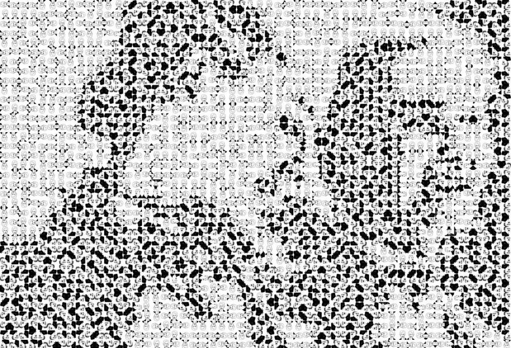 Garbade, abartium, sisters, 2017