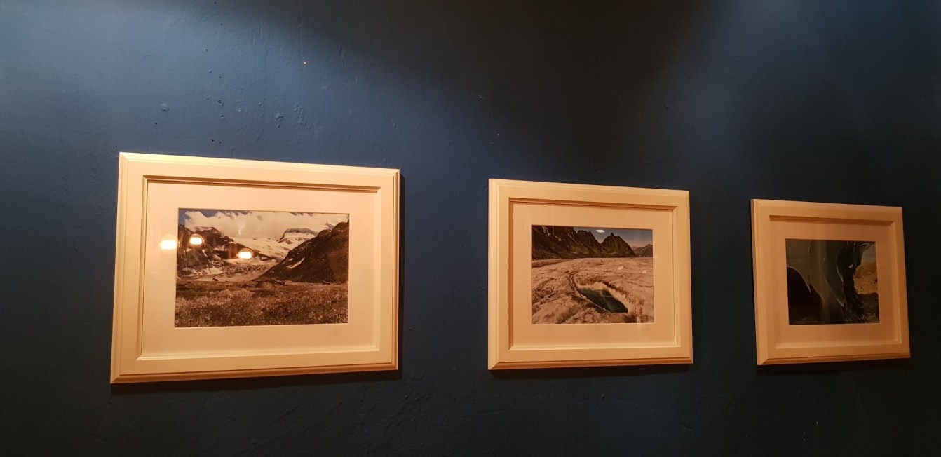 Nicole Herzog-Verrey,medio ambiente,mundial,dia,belen,artspace