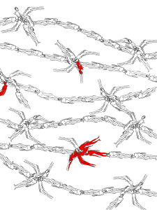 daniel garbade,fence,