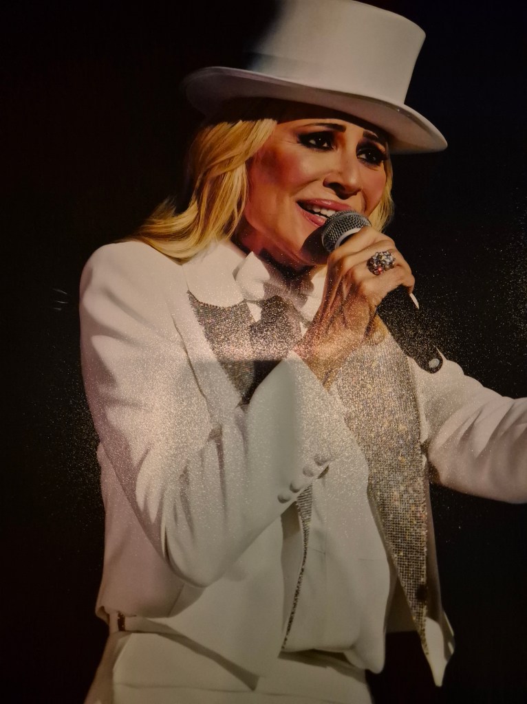 musicos en escena,concierto